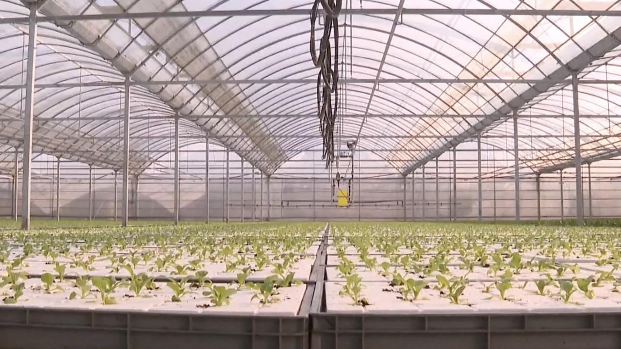 MySQL 考试练习题 - MrFlySand-飞沙 - 博客园