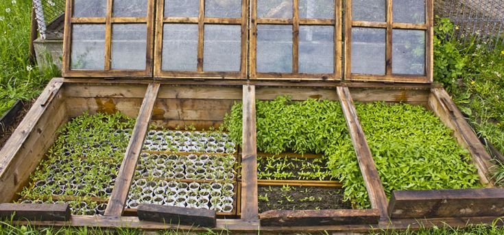 8 DIY Cold Frame Ideas to Extend the Growing Season - The Homestead ... 8 DIY Cold Frame Ideas to Extend the Growing Season - The Homestead ...