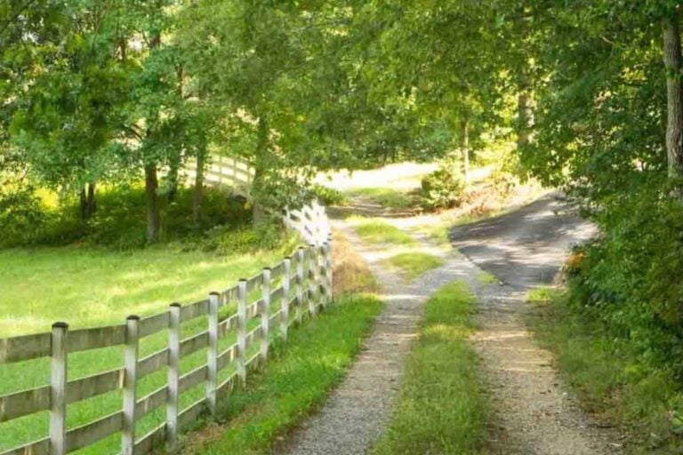 Suburban Homesteading - The Ultimate Guide