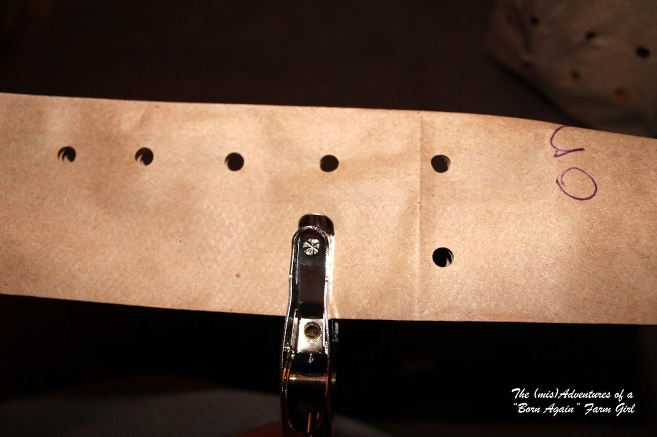 How to Store Onions from the Garden through the Winter | Food, Food ... How to Store Onions from the Garden through the Winter | Food, Food ...