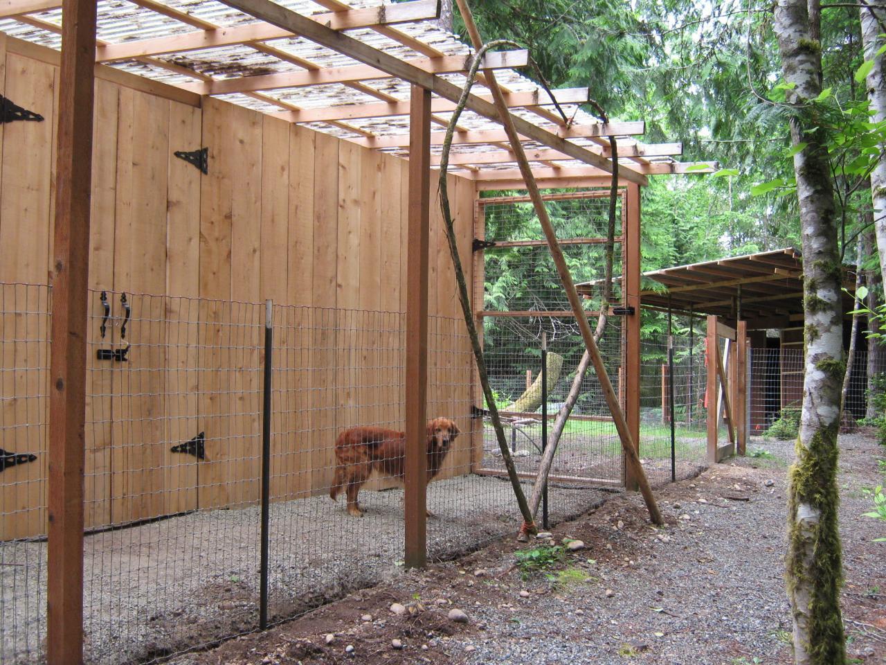 Yam Coop: How to build a predator proof chicken coop Yam Coop: How to build a predator proof chicken coop