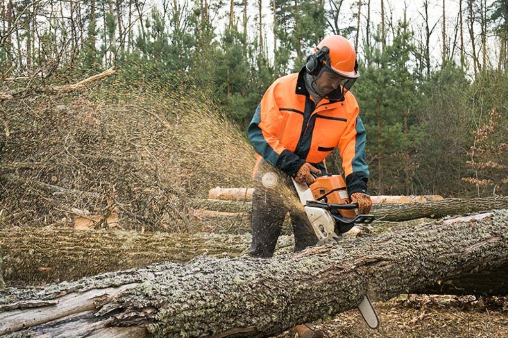 How to Operate a Chainsaw Safely for Garden Use