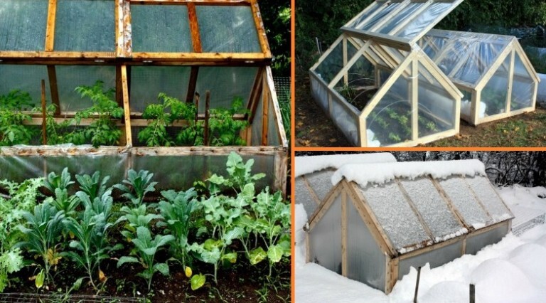 Extend Your Garden’s Growing Season: DIY Mini-greenhouse | Home Design ... Extend Your Garden’s Growing Season: DIY Mini-greenhouse | Home Design ...