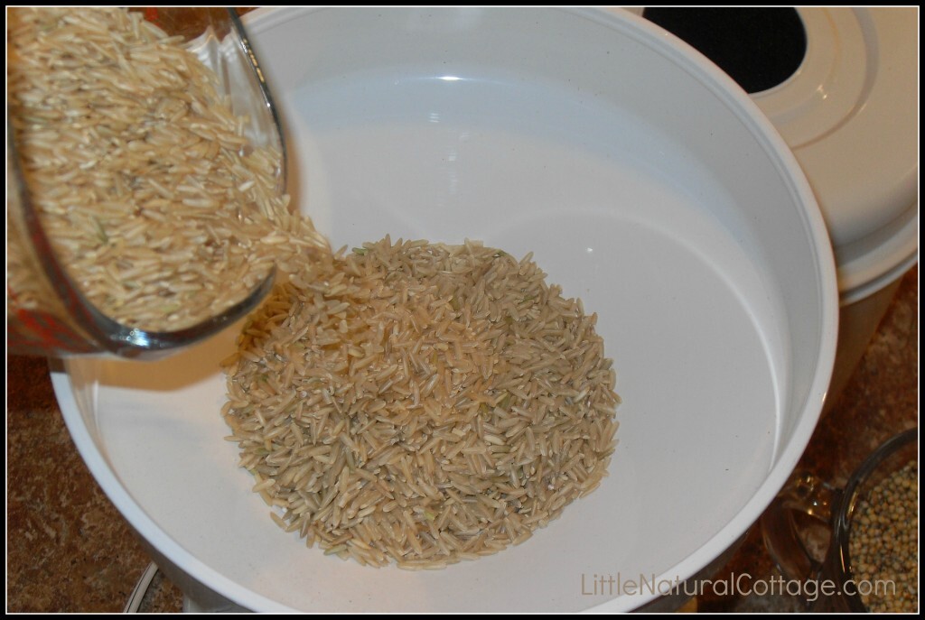 How to Grind Your own Gluten-free Flour | Grain Mill Wagon