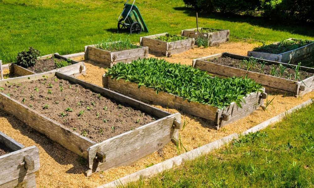 How To Fill Raised Garden Beds | Home Guide How To Fill Raised Garden Beds | Home Guide