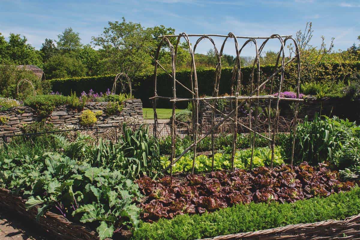 16 Decisive Tips for Finding the Perfect Homestead Land and Property