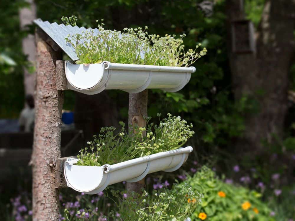 Design your homestead backyard farm plans – Artofit