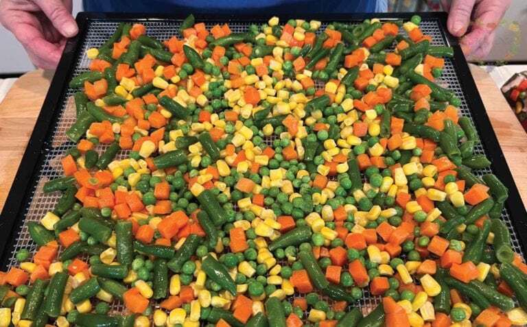 Secrets Of Dehydrating Fruits For Long-Term Storage – Survivopedia Secrets Of Dehydrating Fruits For Long-Term Storage – Survivopedia