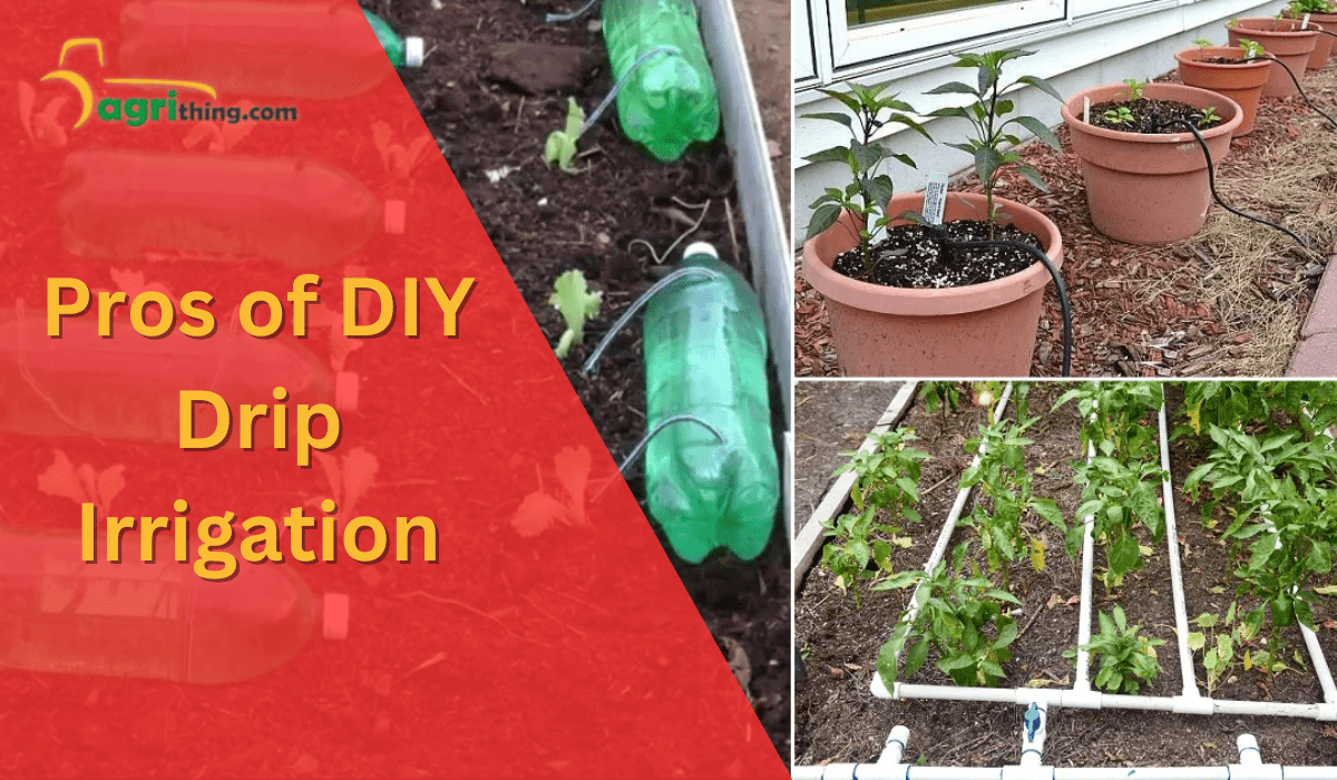 DIY Drip Irrigation System : 12 Steps (with Pictures) - Instructables DIY Drip Irrigation System : 12 Steps (with Pictures) - Instructables