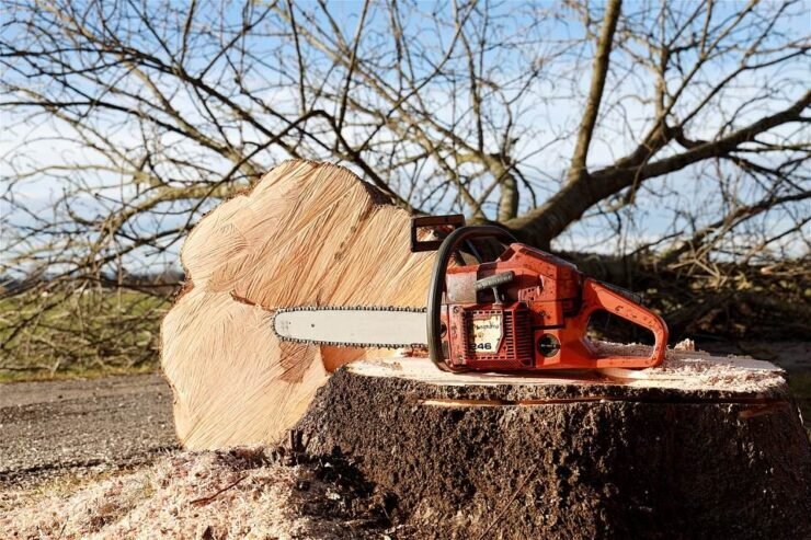 7 Tips to Safely Operate Chainsaw