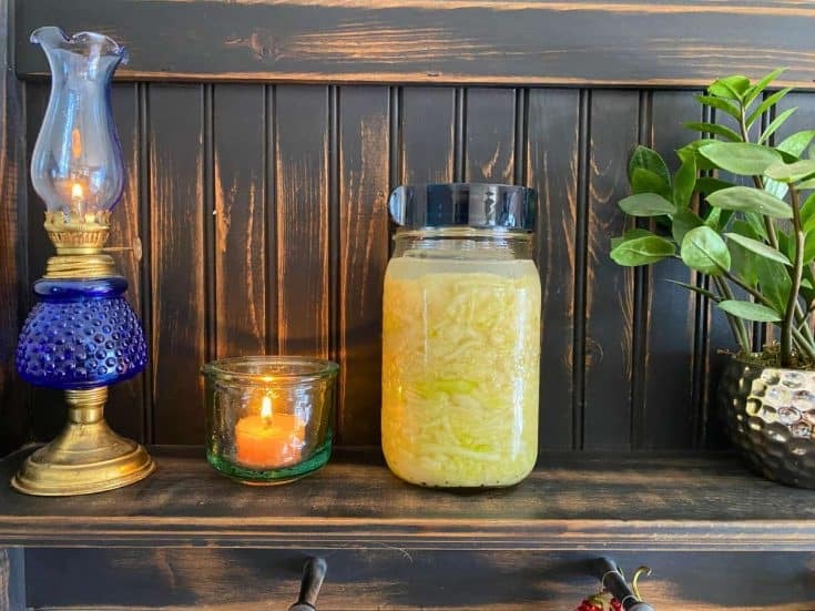 Easy Mason Jar Sauerkraut – What Great Grandma Ate Easy Mason Jar Sauerkraut – What Great Grandma Ate