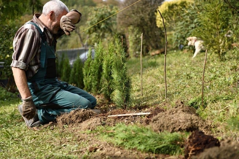 Homesteading Skills You Should Learn | Survival, Homesteading skills ...