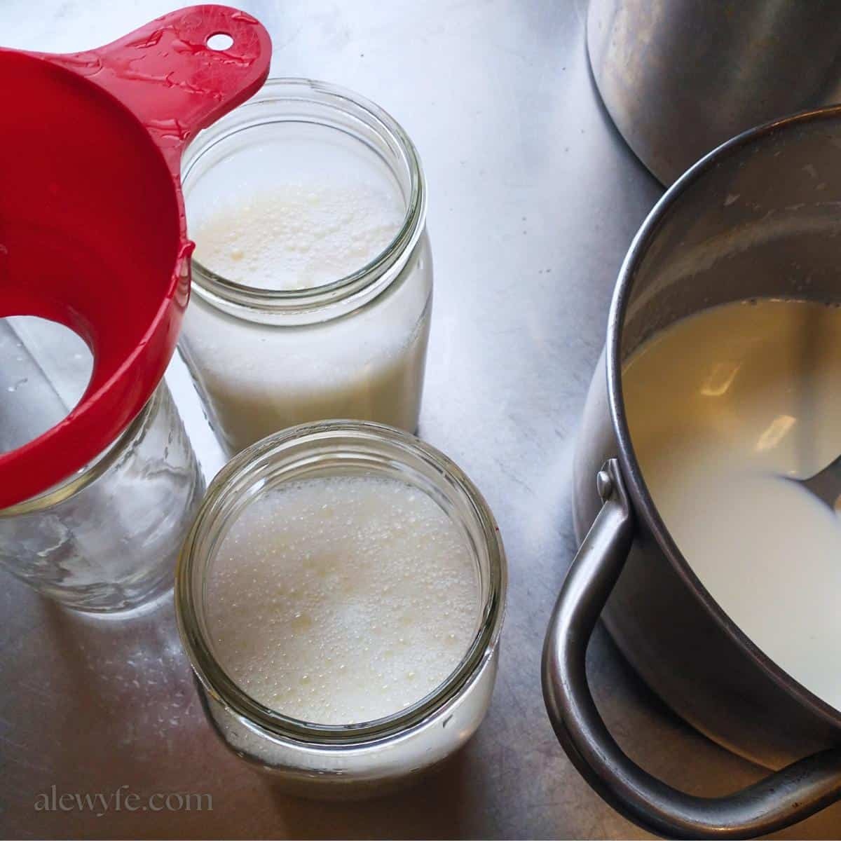How to Make Homemade Yogurt (without a Yogurt Maker) How to Make Homemade Yogurt (without a Yogurt Maker)