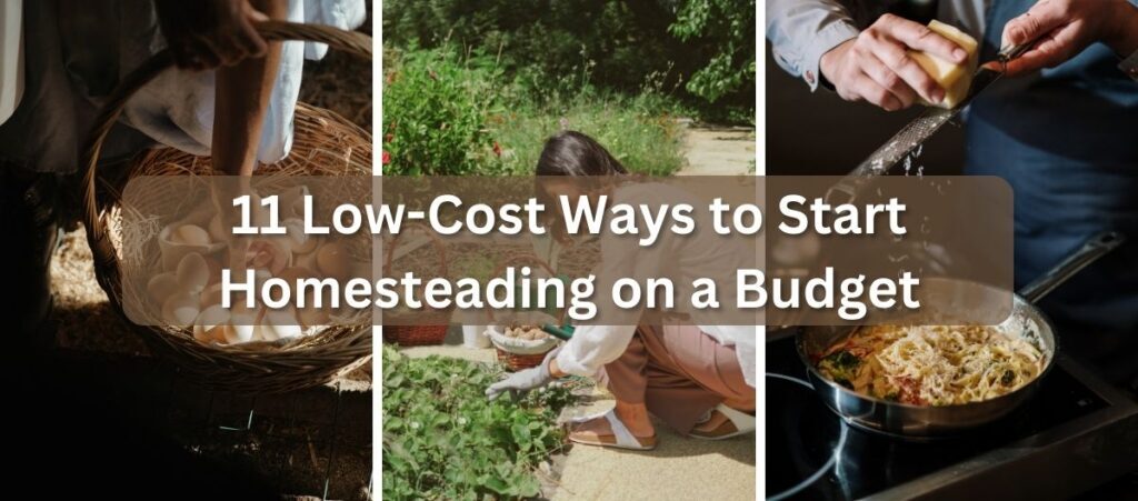 11 Easy First-Year Homesteading Goals To Make And Achieve As A Newbie 11 Easy First-Year Homesteading Goals To Make And Achieve As A Newbie