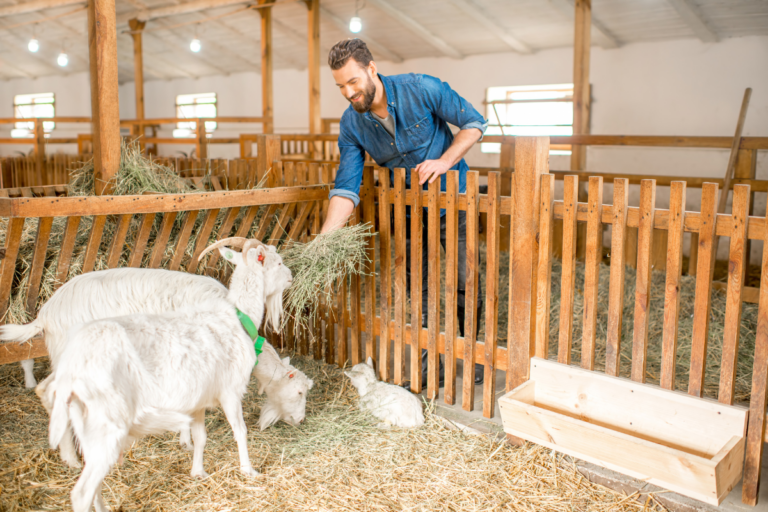 How To Break the Big Challenge of Homesteading and Working Full-Time