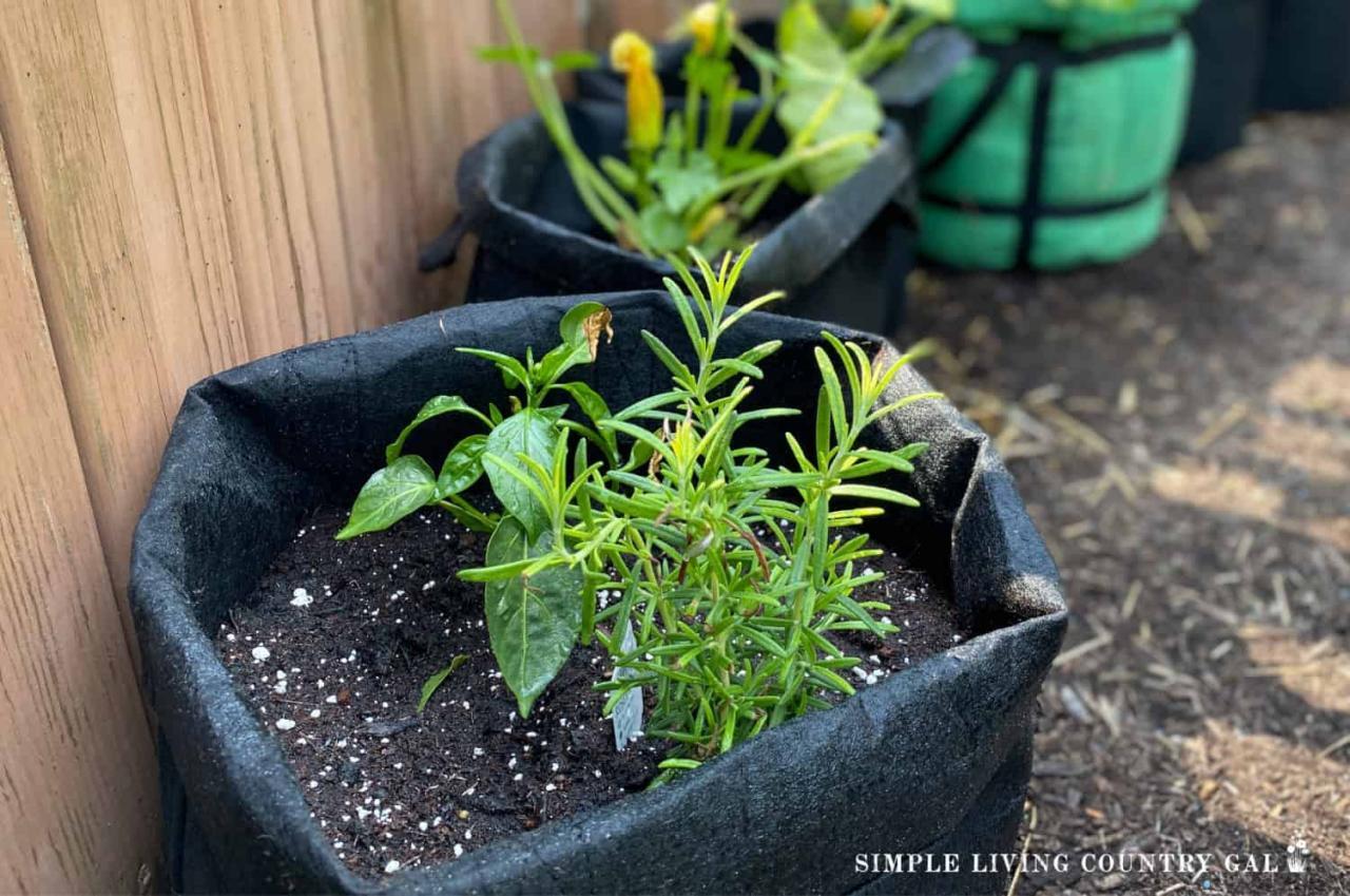 How to Start a Homestead: 9 Must-Read Tips for New Homesteaders ... How to Start a Homestead: 9 Must-Read Tips for New Homesteaders ...