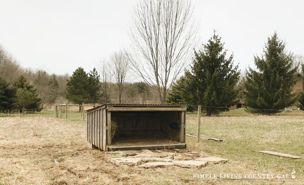 Starting a Homestead from Scratch: A Beginner's Guide | Simple Living ... Starting a Homestead from Scratch: A Beginner's Guide | Simple Living ...