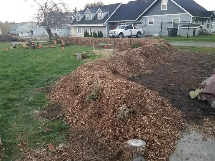 How to Build a Hugelkultur Bed - Growing with Nature How to Build a Hugelkultur Bed - Growing with Nature