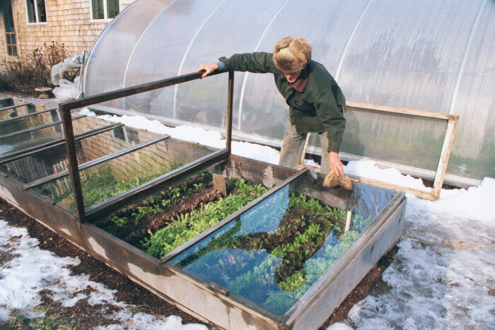 Grow vegetables all year long with cold frames – Artofit Grow vegetables all year long with cold frames – Artofit