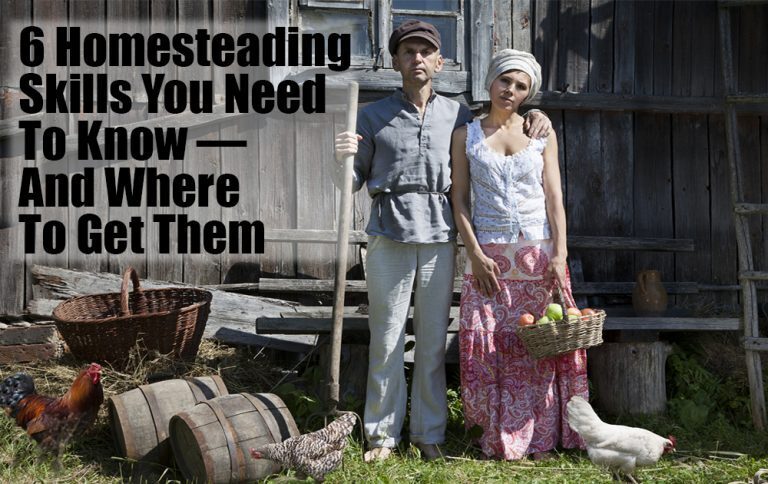 150 Homesteading Skills For The Modern Homesteader | The Rustic Elk