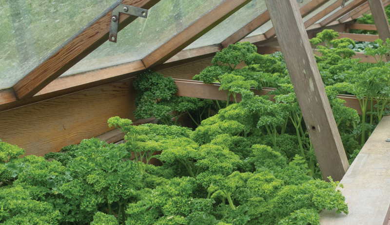 Keep The Garden Growing This Winter With A Cold Frame - Hobby Farms Keep The Garden Growing This Winter With A Cold Frame - Hobby Farms