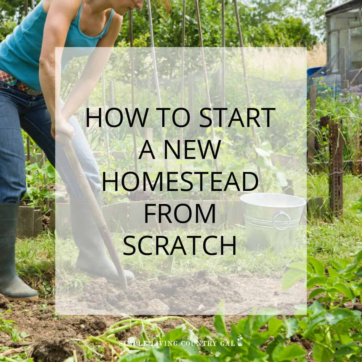 Starting a Homestead from Scratch: A Beginner's Guide | Simple Living ... Starting a Homestead from Scratch: A Beginner's Guide | Simple Living ...