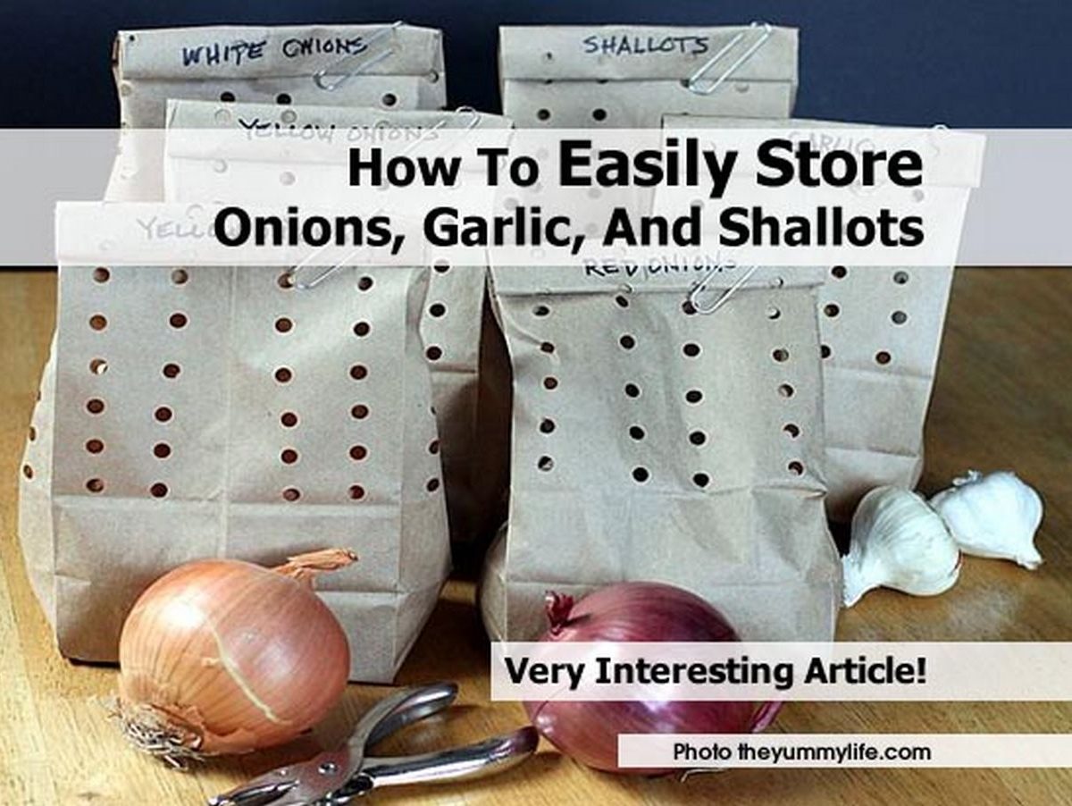 Advice on How to Store and Harvest Onions and Garlic Advice on How to Store and Harvest Onions and Garlic